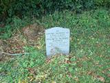 image of grave number 351331